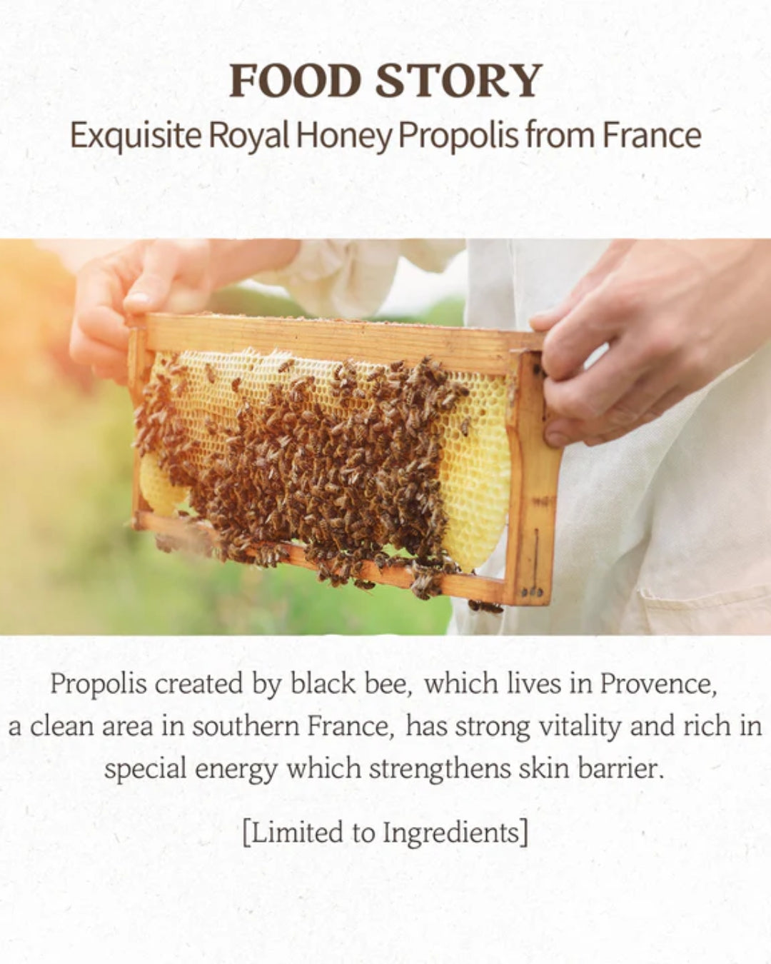[SKINFOOD] Royal Honey Propolis Enrich Mask