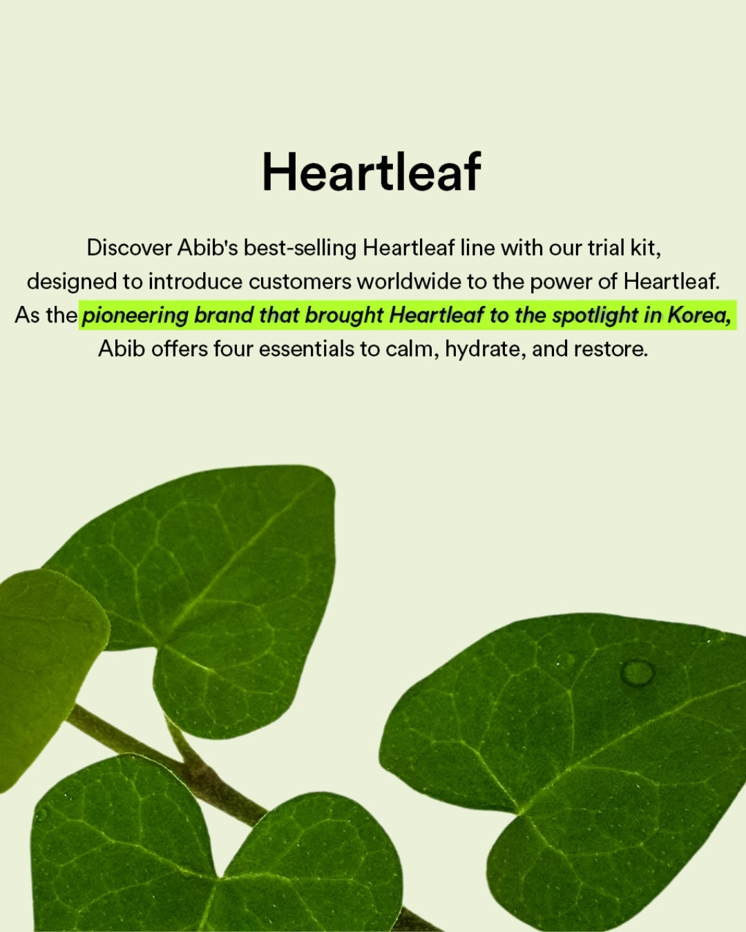 [Abib] Heartleaf Calming Trial Kit