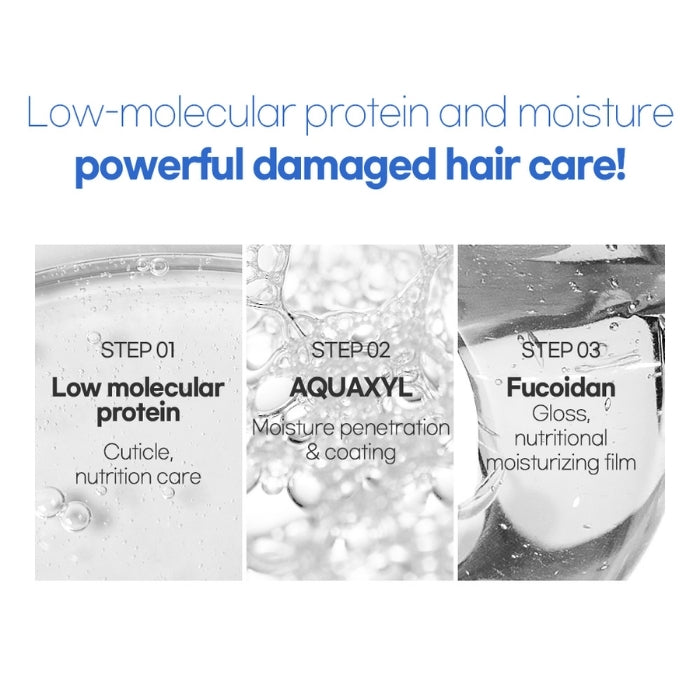 [CP-1] AQUAXYL COMPLEX INTENSE MOISTURE SHAMPOO