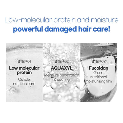 [CP-1] AQUAXYL COMPLEX INTENSE MOISTURE SHAMPOO